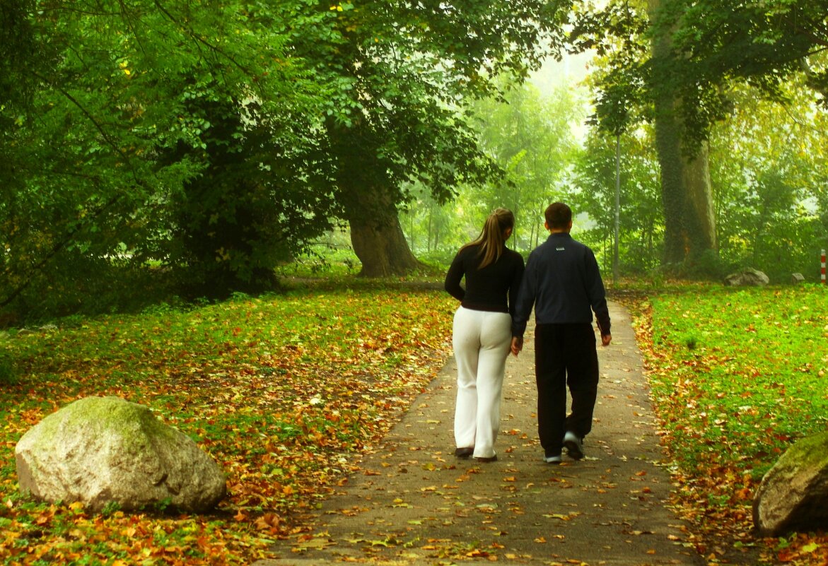 В туман - Юрий. Шмаков