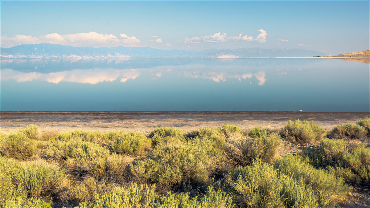 Большое Соленое озеро - **** vedin
