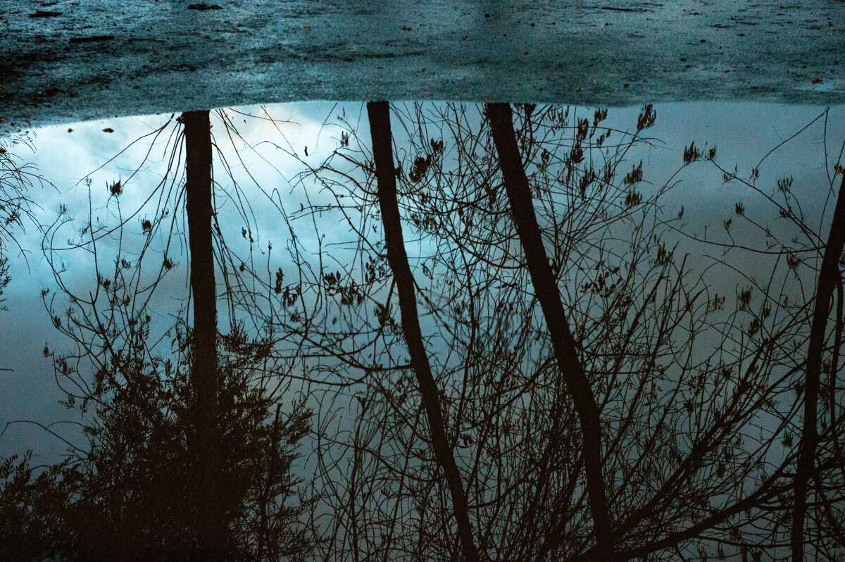 Что такое осень - Павел Кореньков Что такое осень - Павел Кореньков