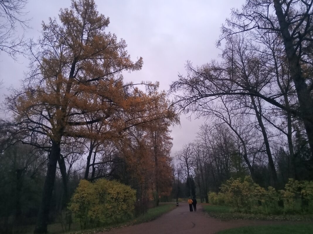 Осень - Сапсан 