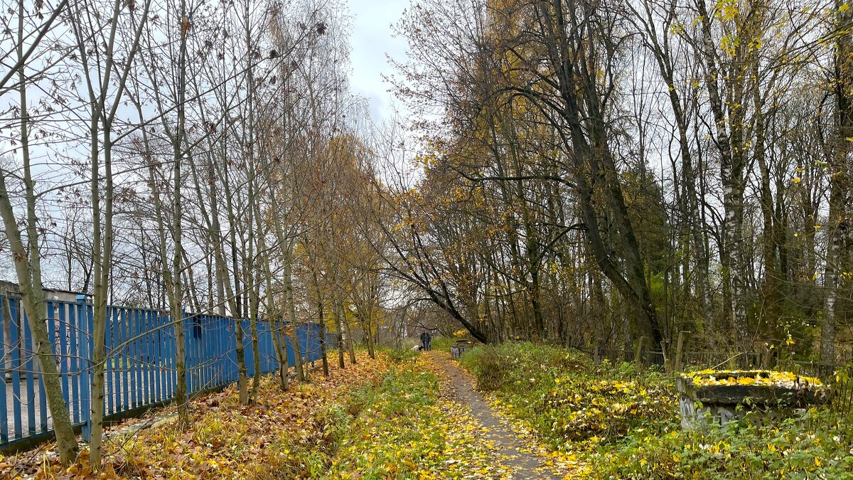 Осень... - Olga Oskolkova