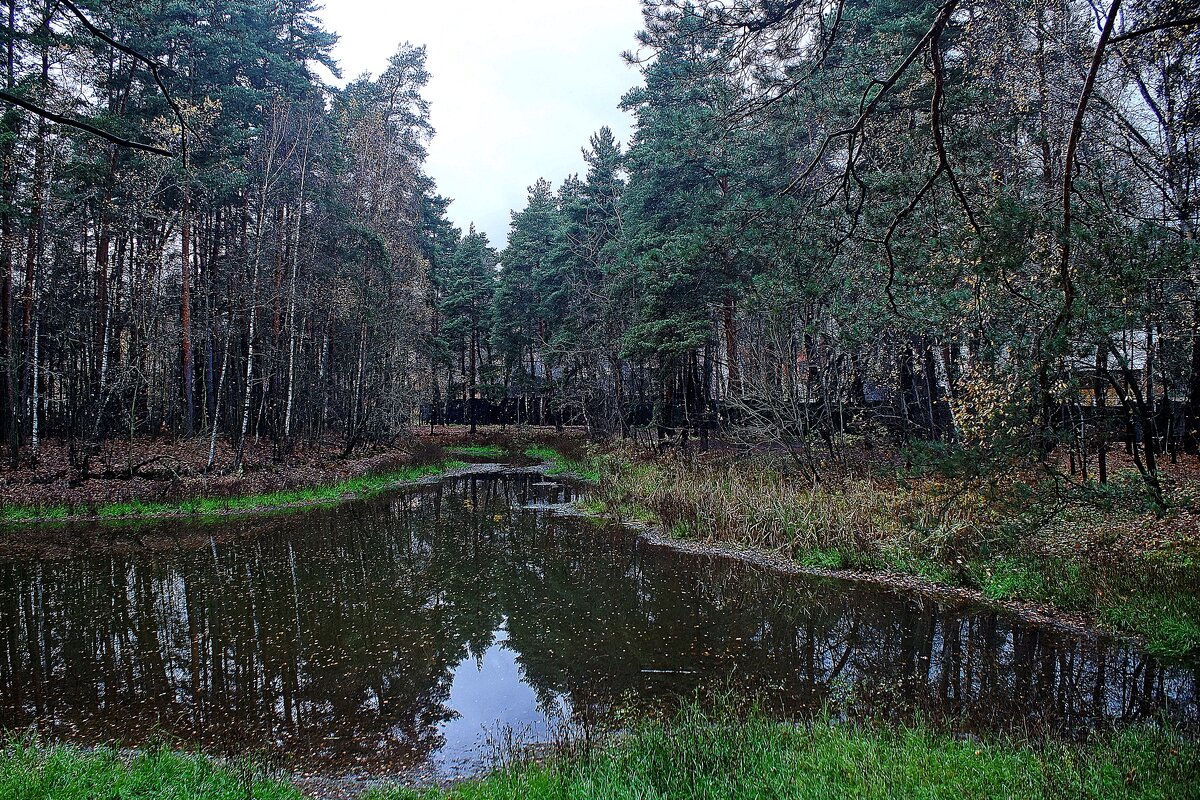 Пруд "Баранка" - Леонид leo Пруд "Баранка" - Леонид leo