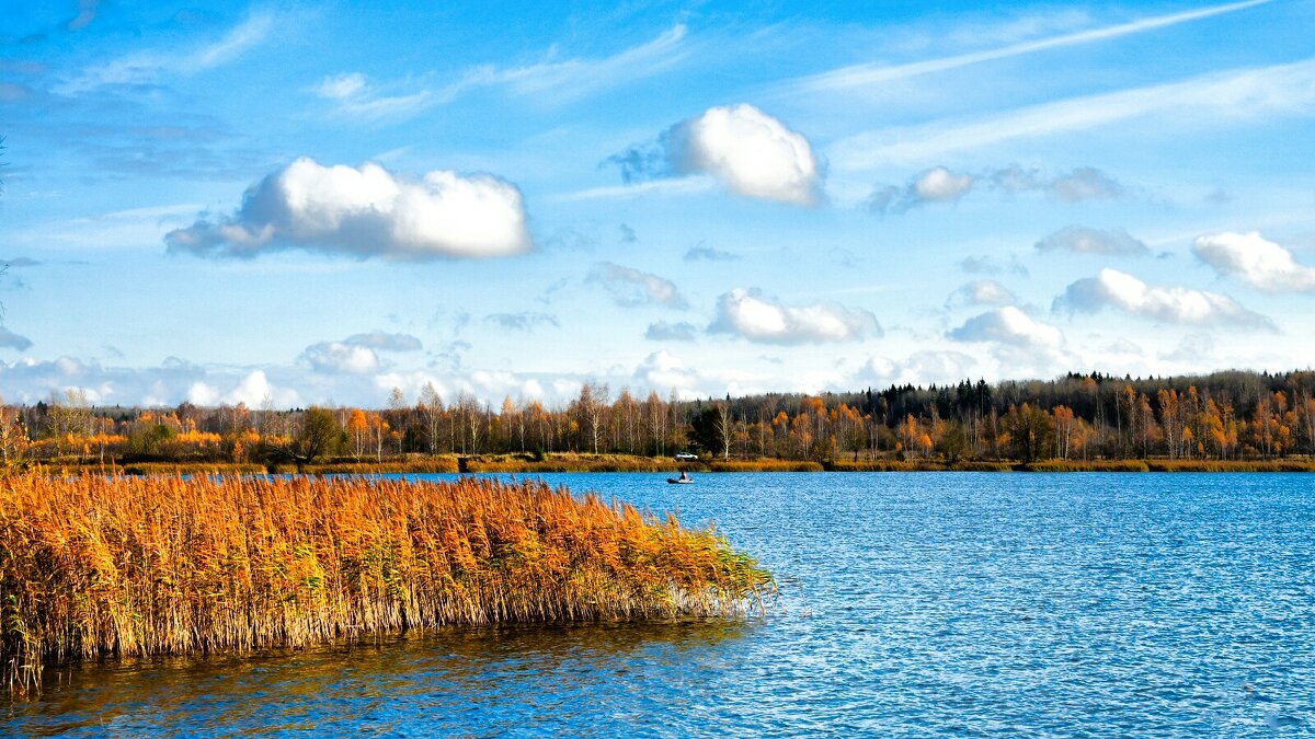 Озёра Смоленщины. - Милешкин Владимир Алексеевич 