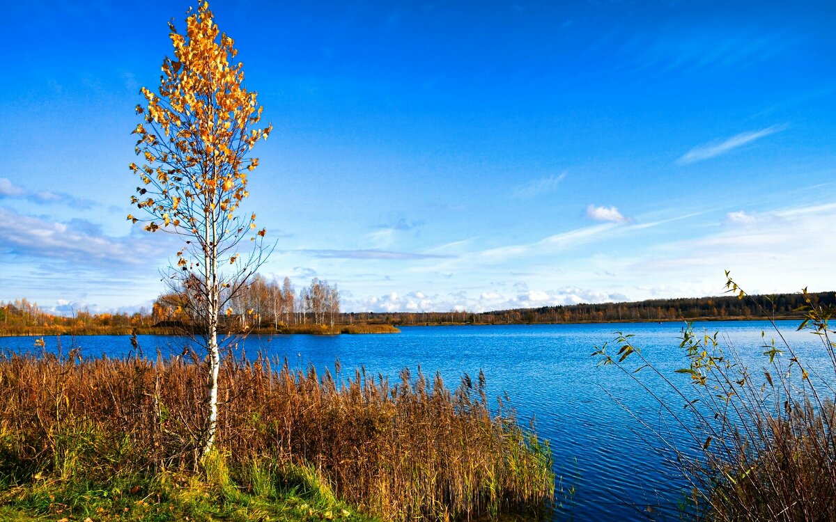 Озёра Смоленщины. - Милешкин Владимир Алексеевич 