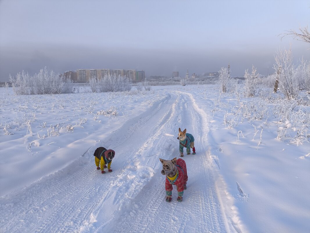 Утро - Anna Ivanova