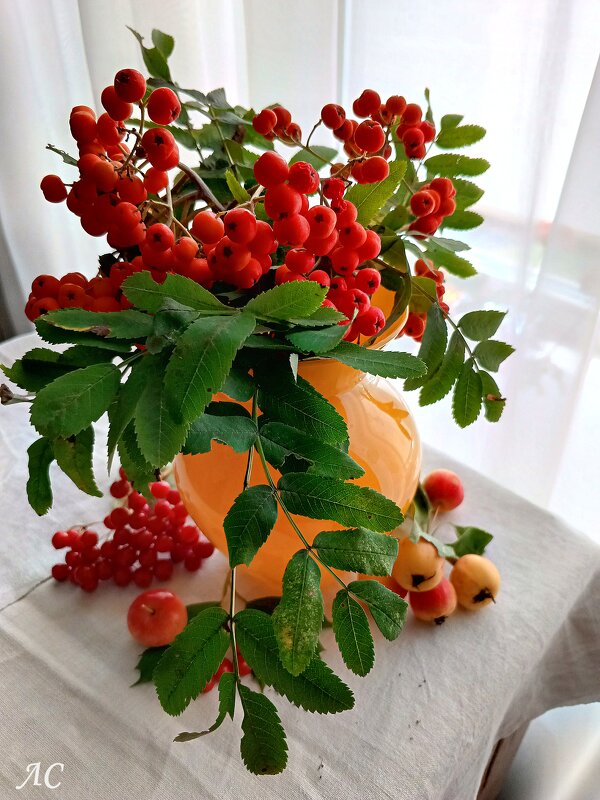 Букет рябины на столе - Любовь Сахарова