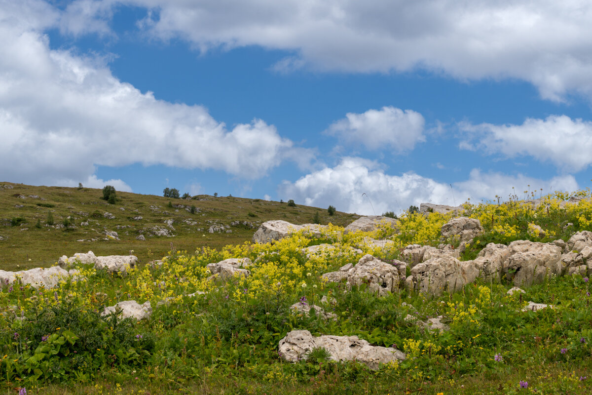 Лаго-Наки - Игорь Сикорский