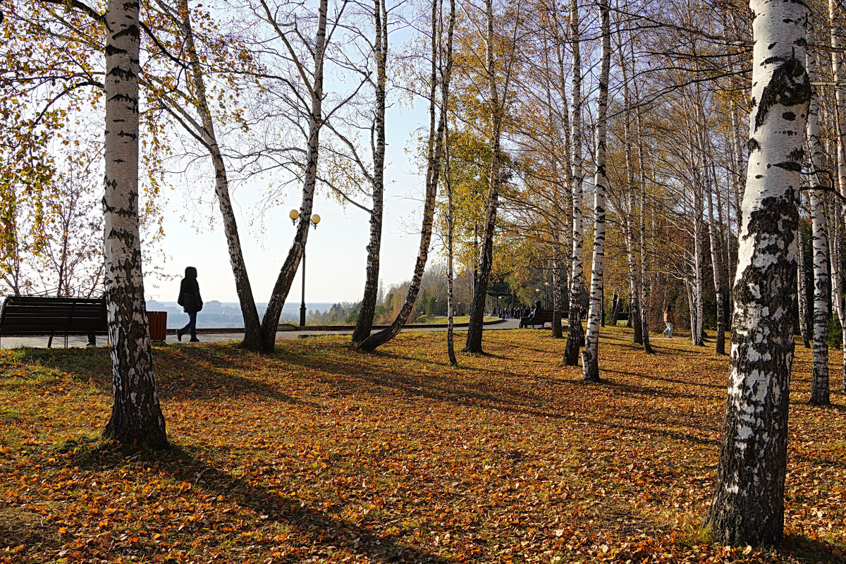 Октябрь в парке над рекой - Галина Кан