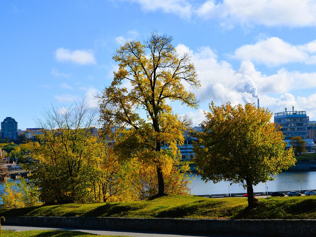Чебоксары. Осенние деревья над Чебоксарским заливом. - Пётр Чернега