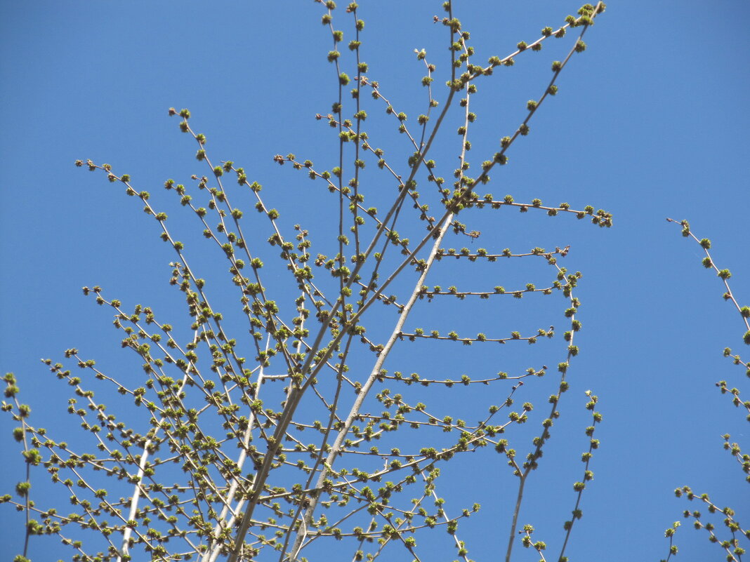 про апрель - Елена Шаламова