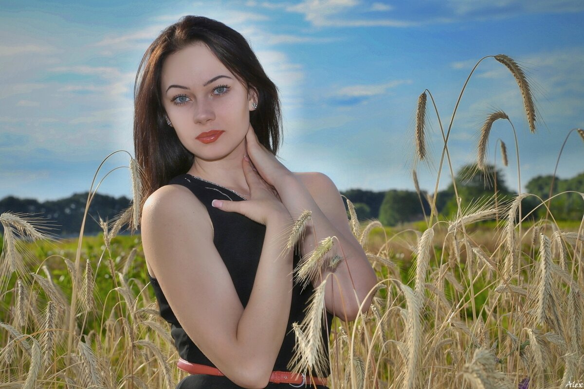 3987 - Alex . 3987 - Alex .