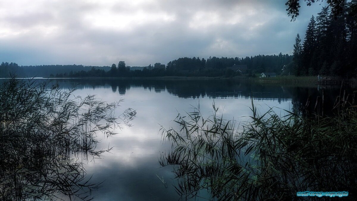 ...туманное утро.! - Павел Курков