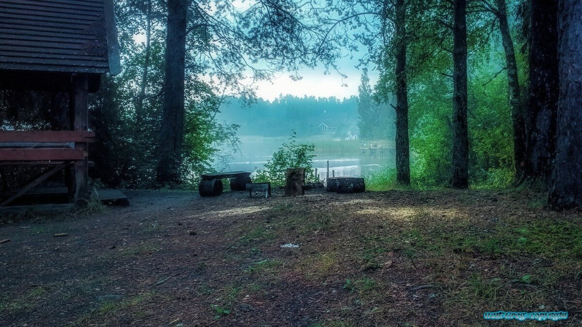 ...туманное утро 4.! - Павел Курков