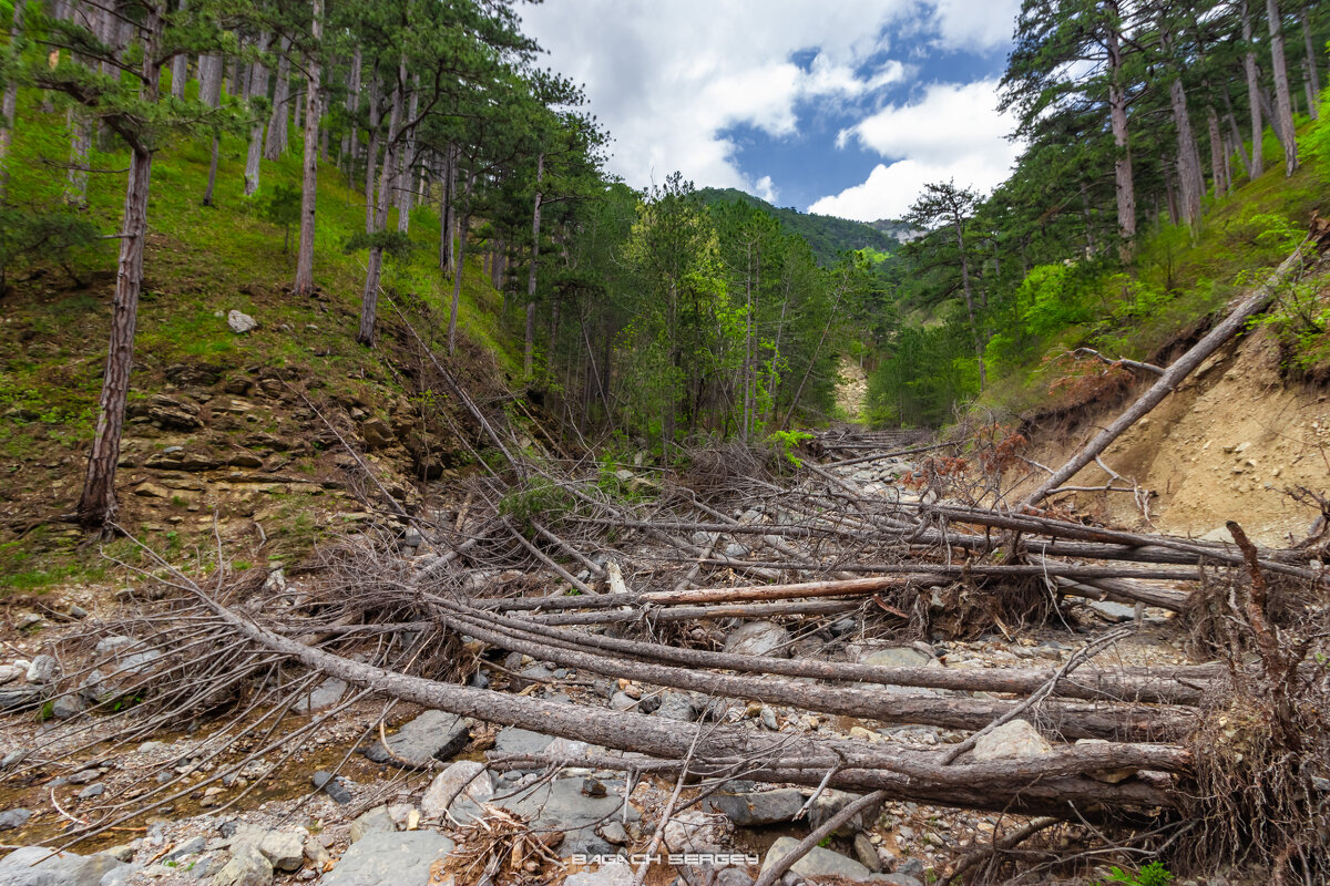 Уч-Кош - Sergey Bagach