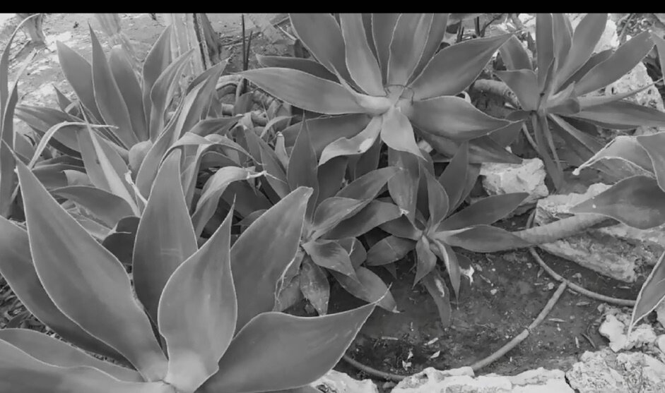 114 (91) - CLOSE WAYS ALL