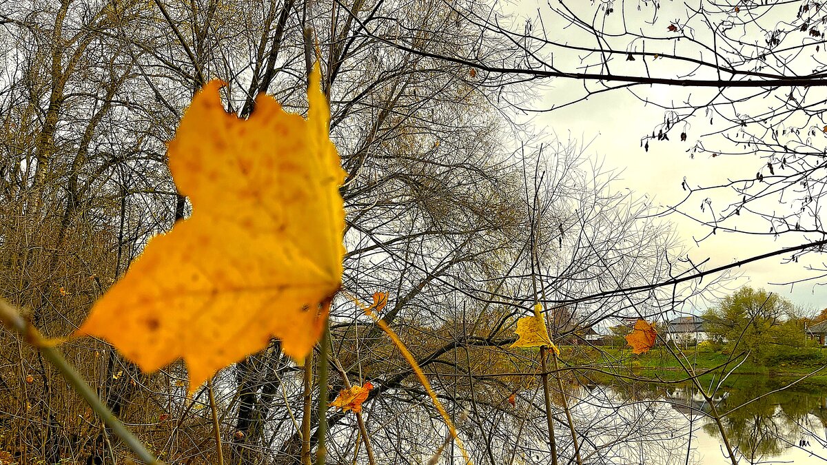 ***по порядку рассчитайтесь*** - Olga Oskolkova