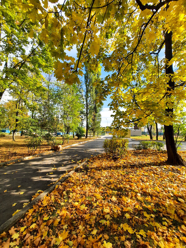 В осеннем парке - Irene Irene