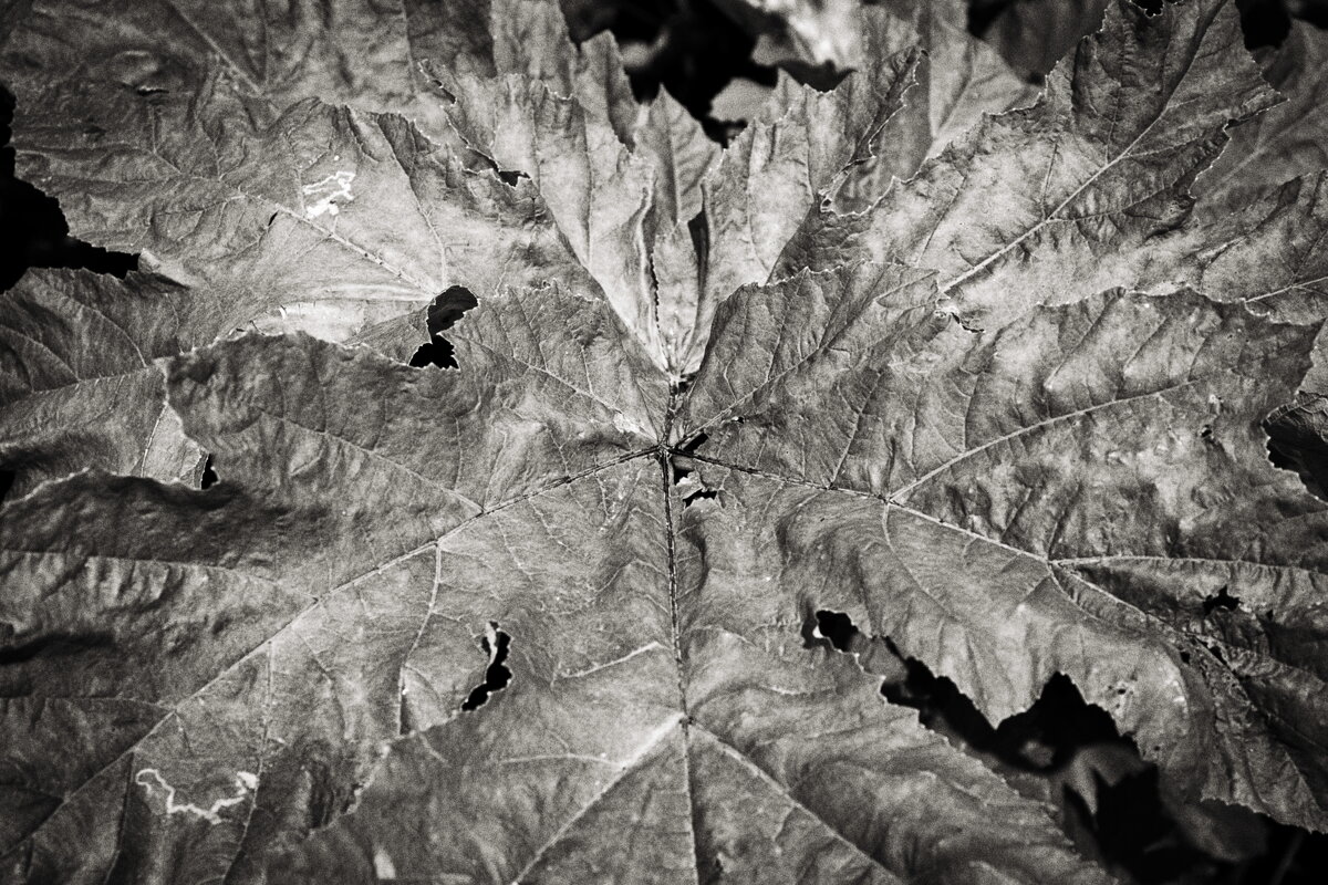 Фотография - Денис Безногов