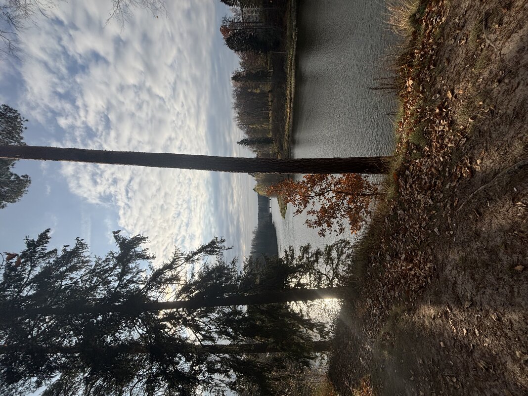 На обрыве - Ольга Савельева 