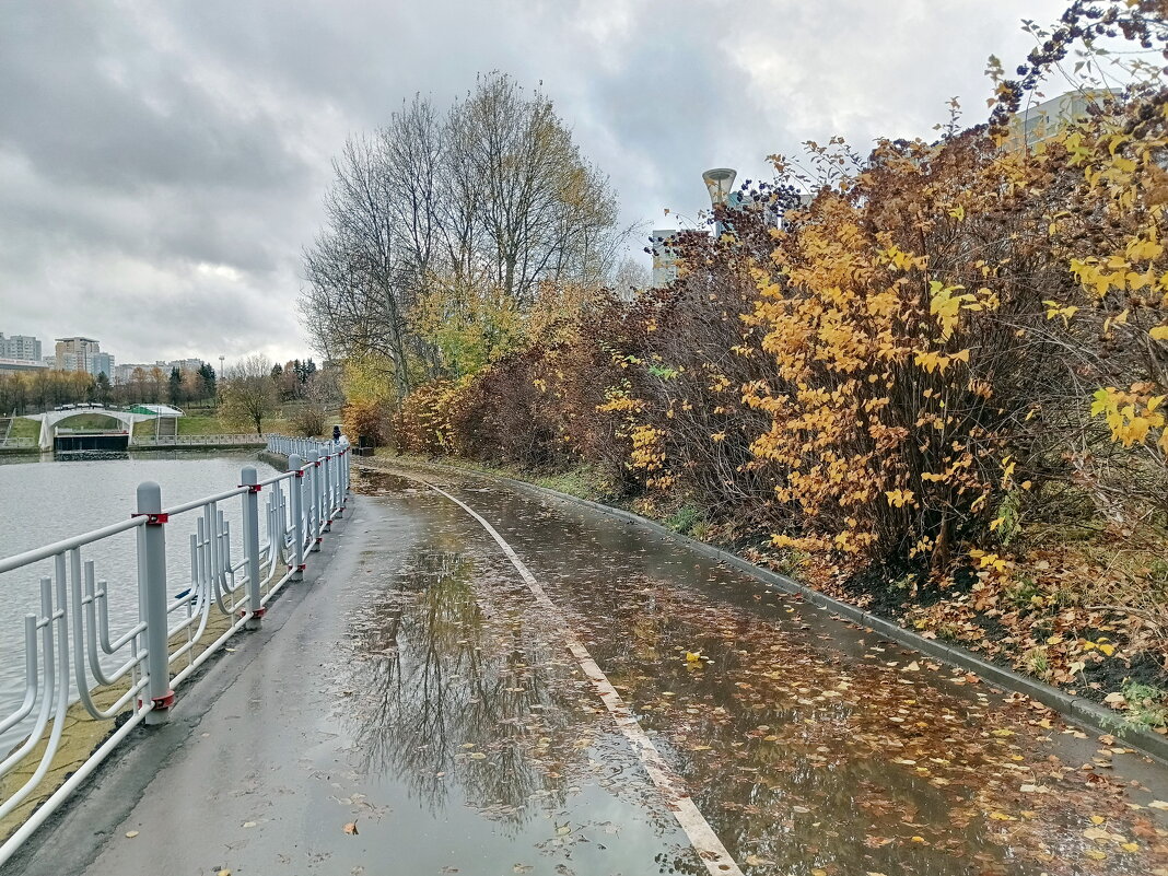 Осенний пейзаж - Леонид Иванчук