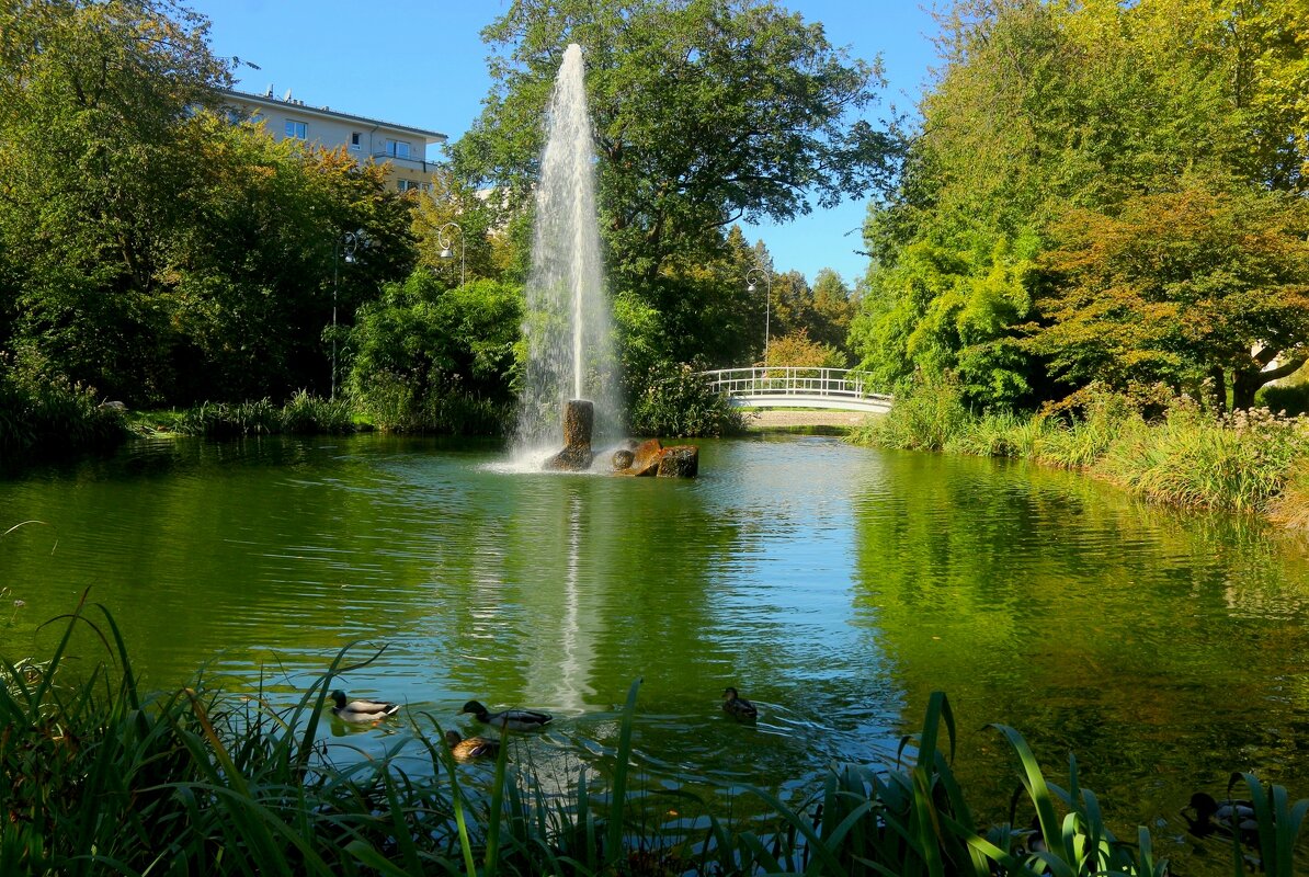 У озера - Юрий. Шмаков