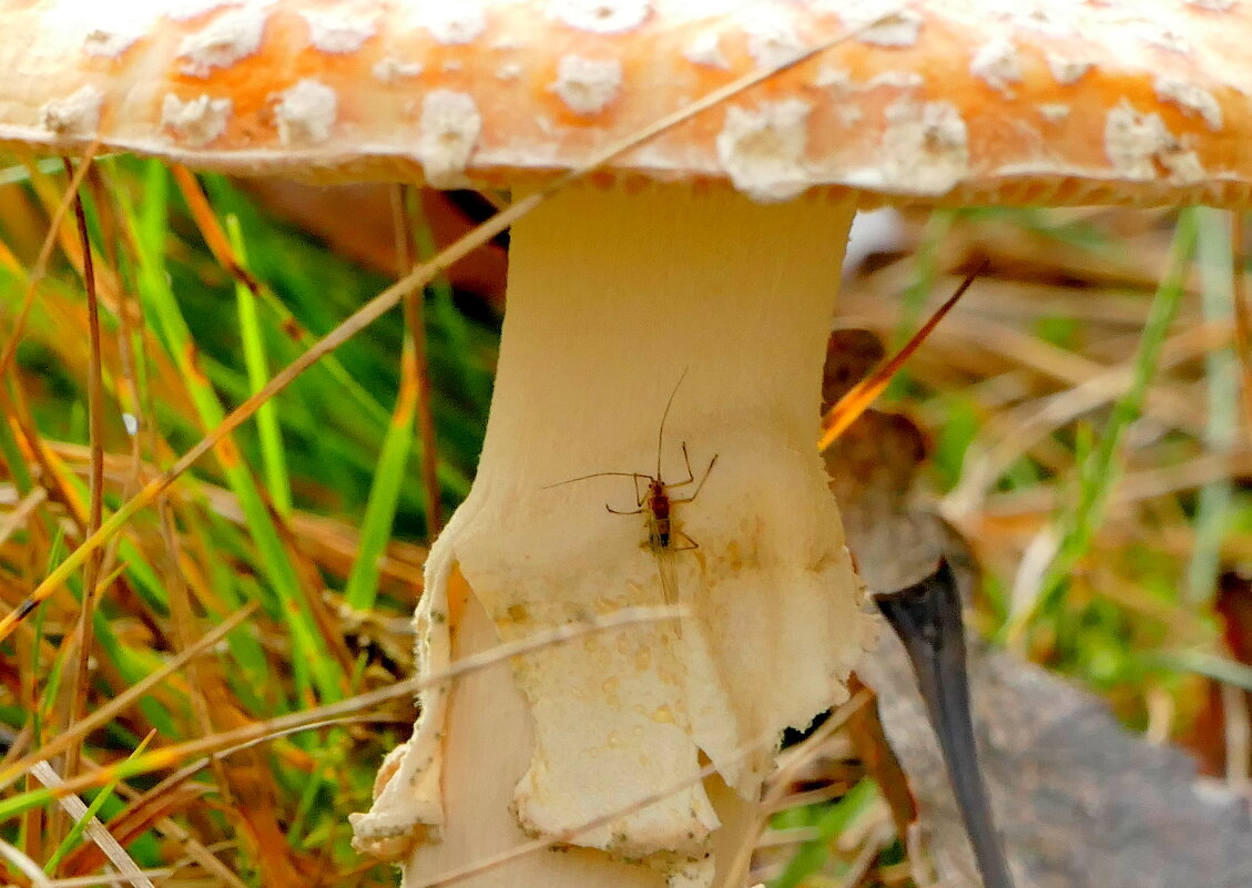 природа 30 октября 1 - Александр Прокудин природа 30 октября 1 - Александр Прокудин