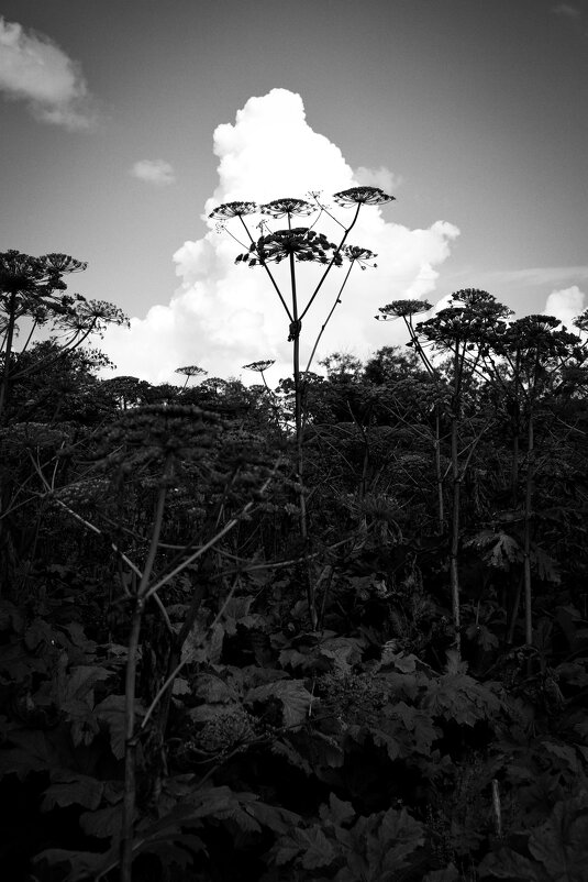 Фотография - Денис Безногов