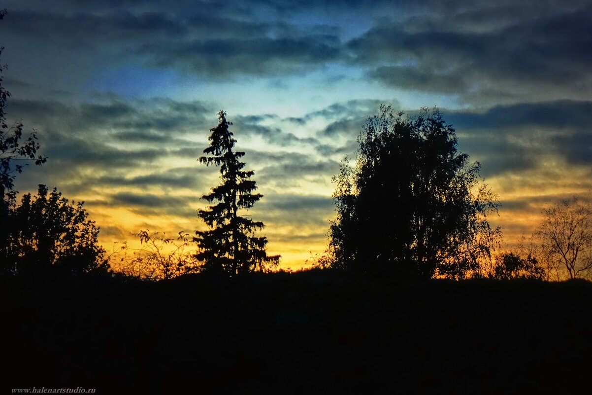 В Старой Ладоге. - Игорь Корф