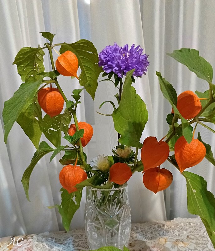 Признание в любви - Любовь Сахарова