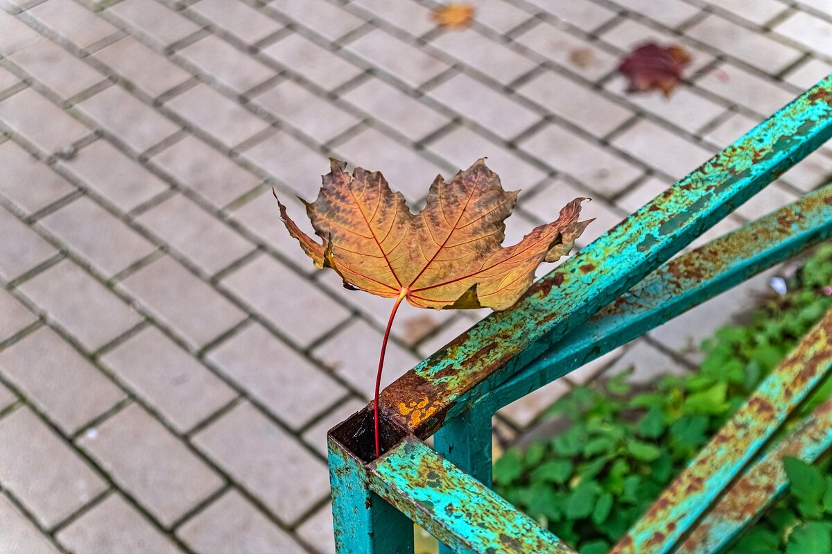 Ржавая осень - Валерий Иванович Ржавая осень - Валерий Иванович