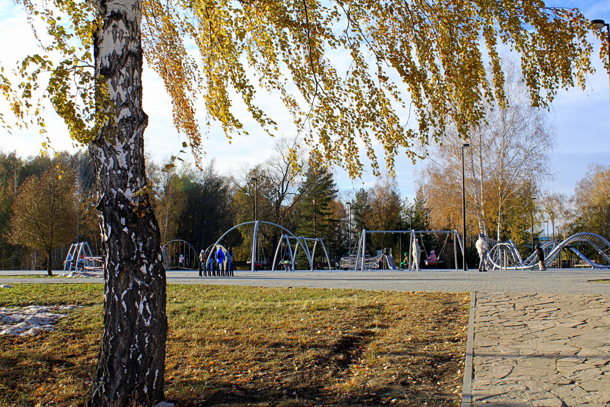 Прощание с октябрём - шагаем в предзимье - Татьяна Лютаева