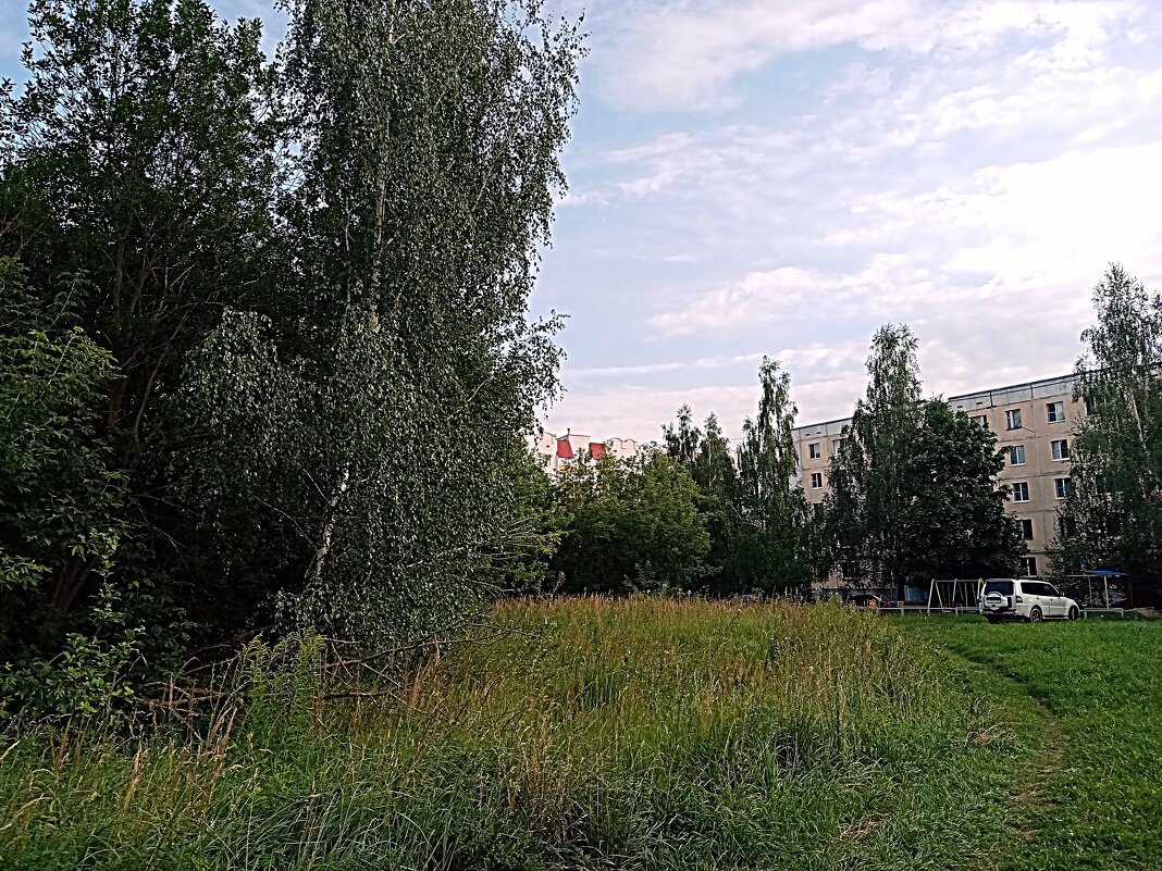 Лето в Мценске. - Владимир Драгунский