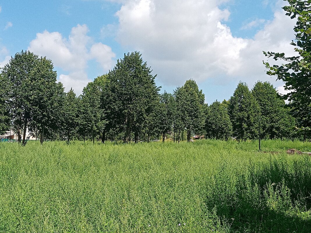 Лето в Мценске. - Владимир Драгунский