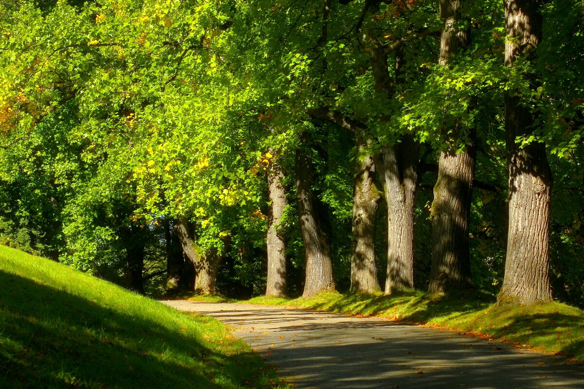 Начало октября - Юрий. Шмаков