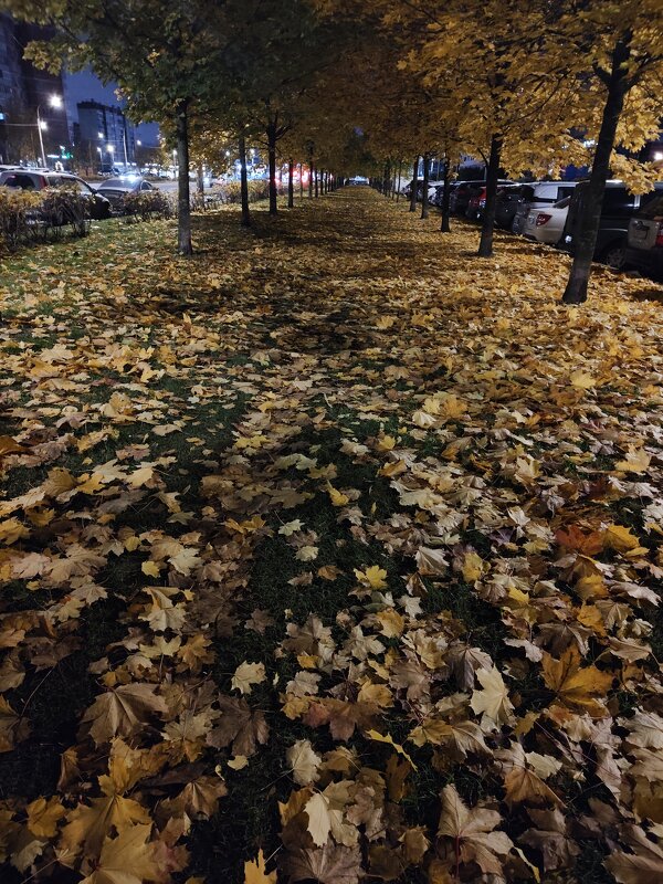 31.10 - Андрей 31.10 - Андрей