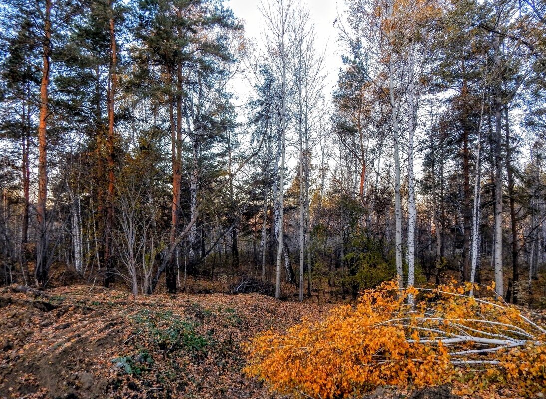 Павшая златовласка! - Елена Хайдукова  ( Elena Fly )