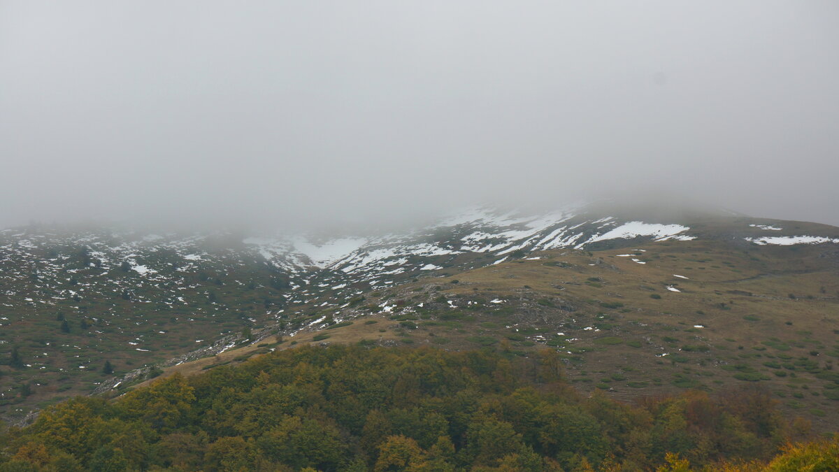 Туман! - Вен Гъновски