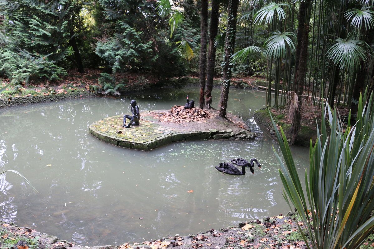 Осень в дендрарии - Ольга 