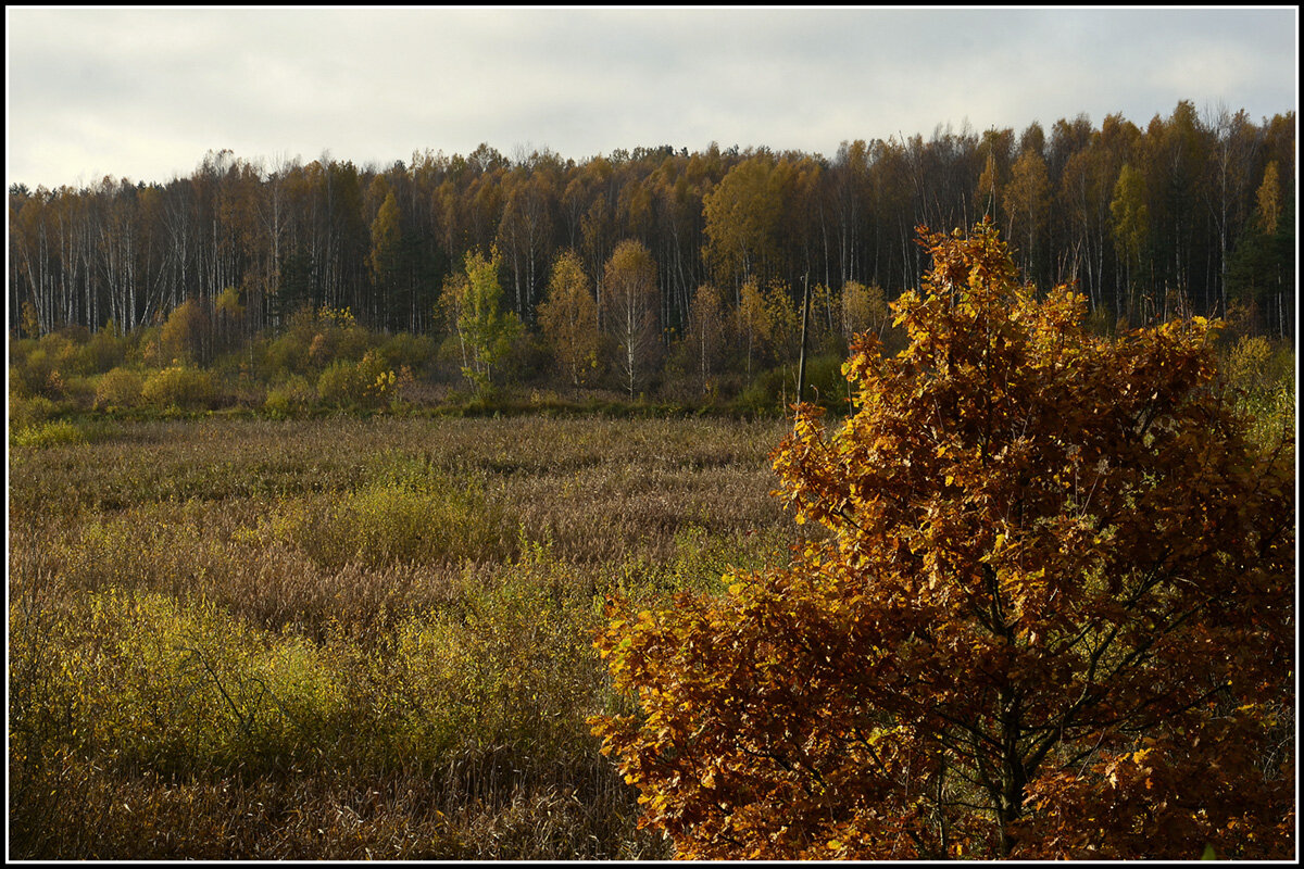 Октябрь уходит - Aleksandr Gal
