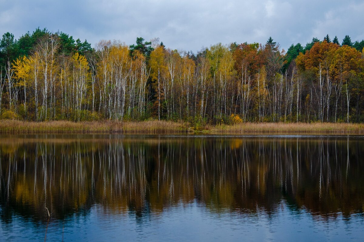 __ - Галина Ложечникова