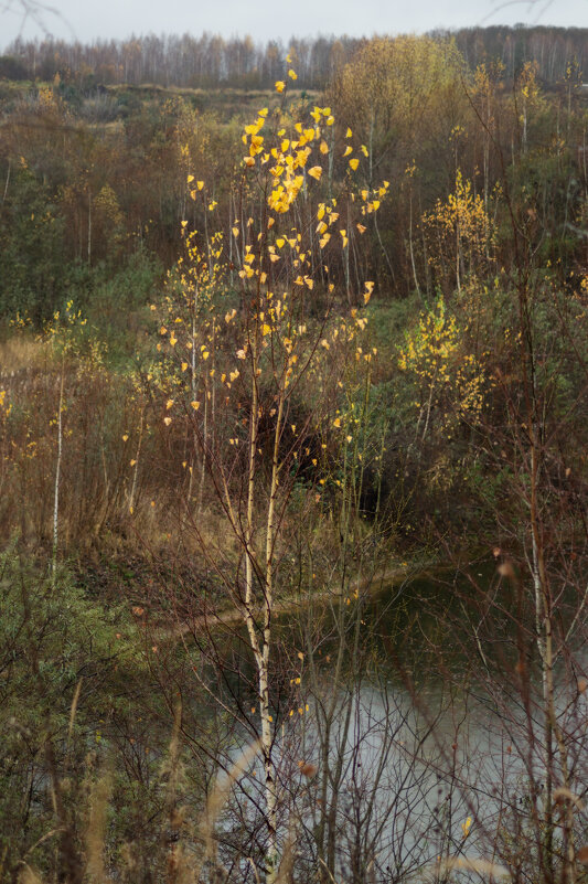 На просторе - sorovey Sol