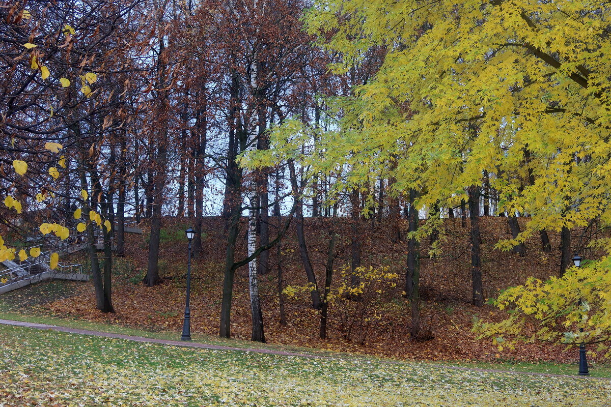 Осенний парк - Дмитрий И_ Осенний парк - Дмитрий И_