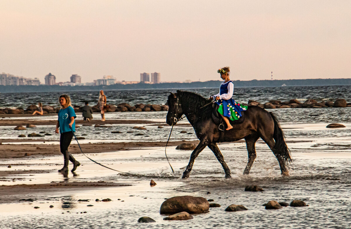 юная наездница - navalon M