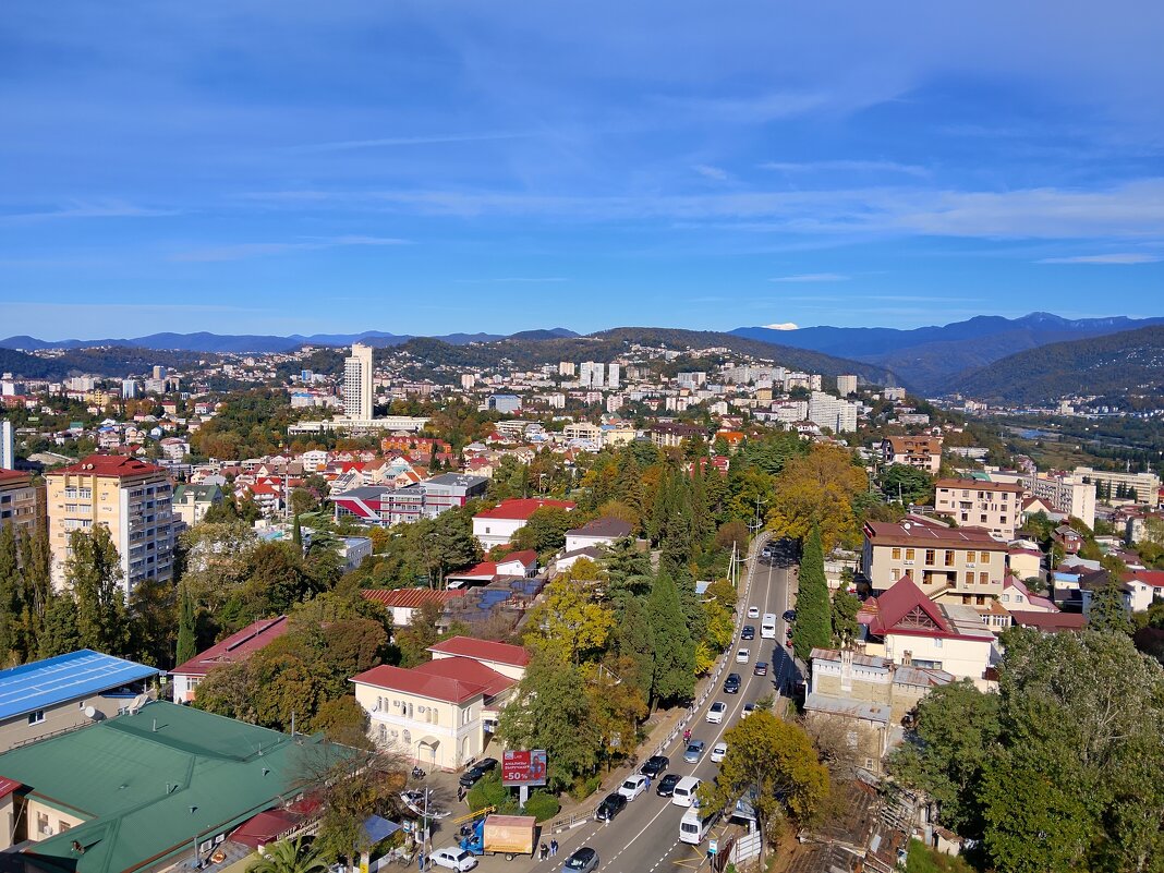 Панорама Сочи с Виноградной горки - Tata Wolf