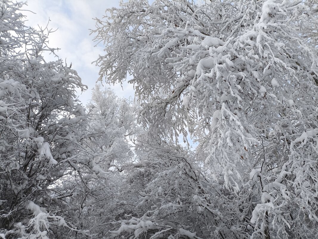 Зима - Anna Ivanova