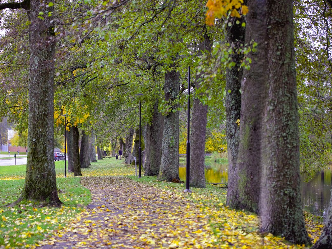 Свидетели столетия - liudmila drake