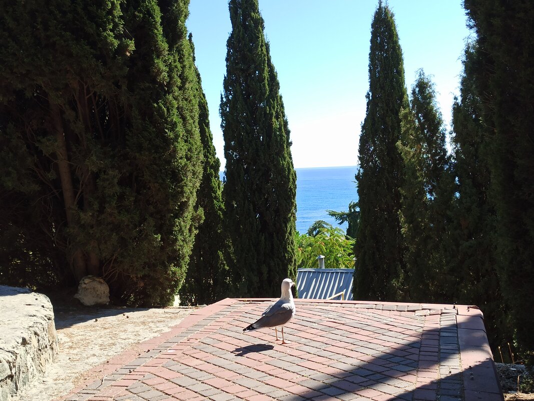 "... Знаешь, мне иногда кажется, что я птица. Когда стоишь на горе, так тебя и тянет лететь. &q - Галина 