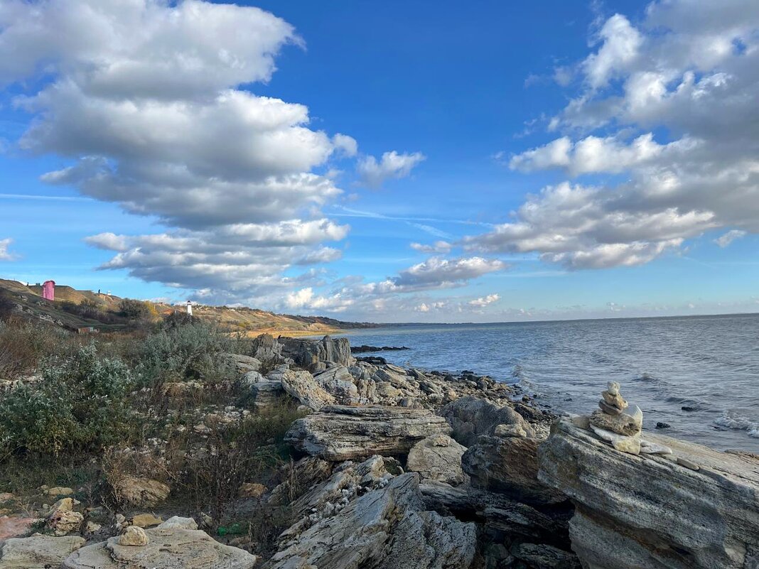 Мержановл - Оксана Новик 