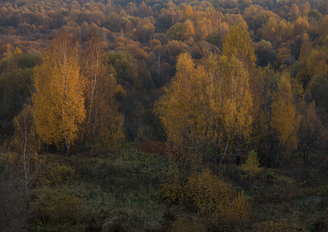 Сходненская чаша. - Елена 