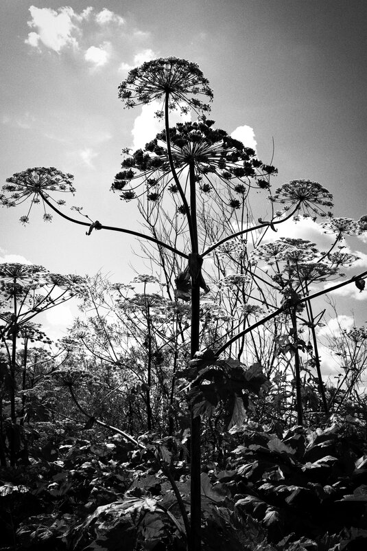 Фотография - Денис Безногов Фотография - Денис Безногов